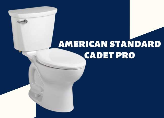 American Standard Cadet Pro