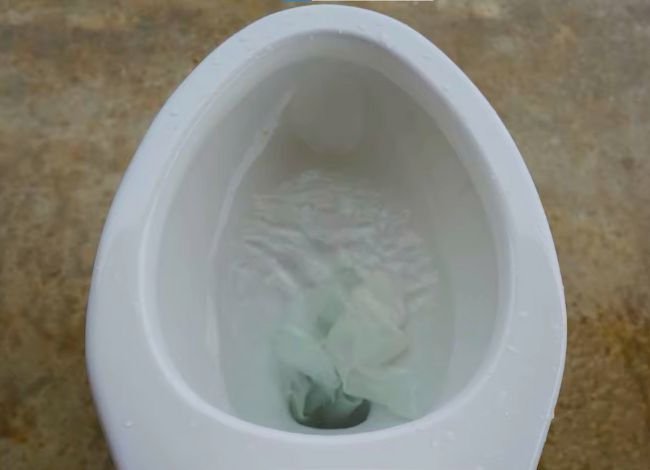 Charmin toilet paper clog a toilet system