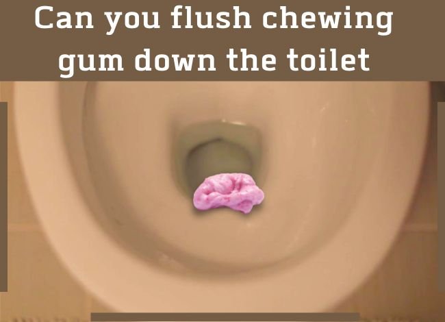 Is chewing gum flushable down the toilet