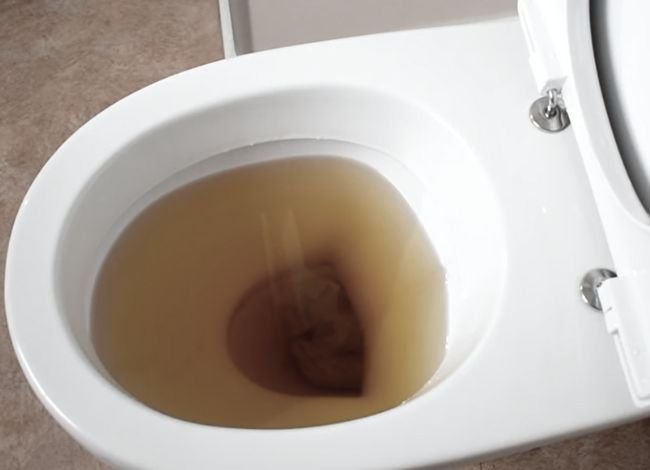 Clogged toilet