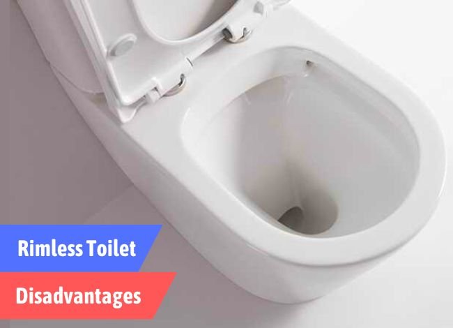 rimless toilet