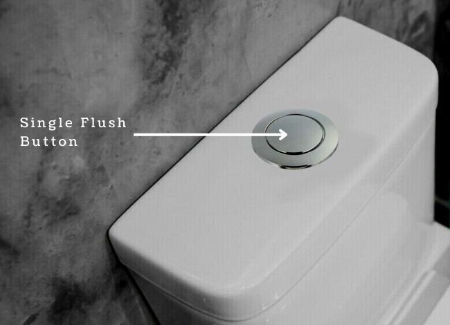 Single flush button