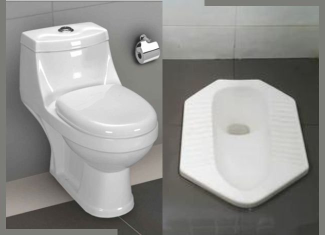 Squat Toilet vs Western Sitting Toilet