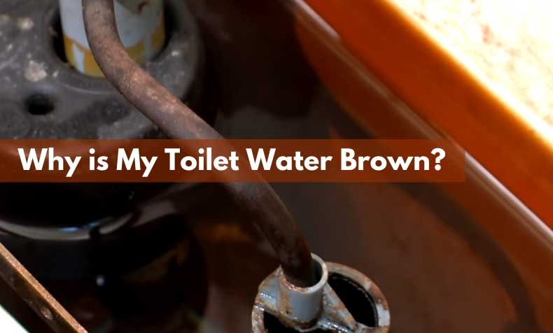 Why is My Toilet Water Brown?