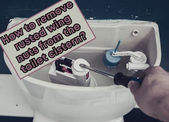 How to remove rusted wing nuts from the toilet cistern