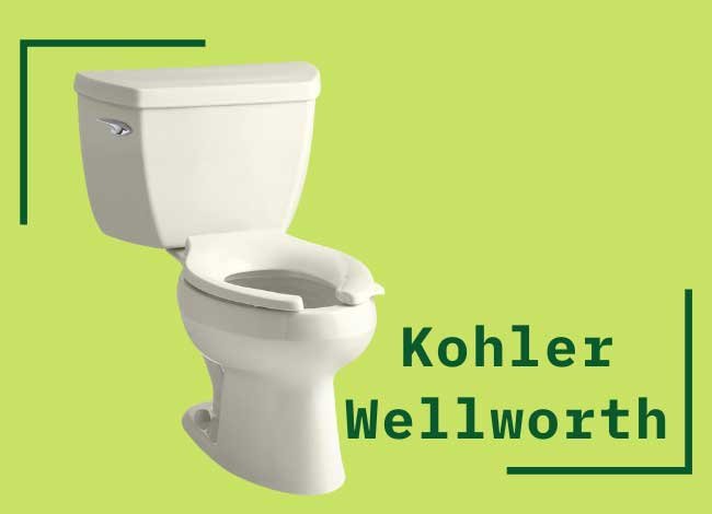 kohler wellworth