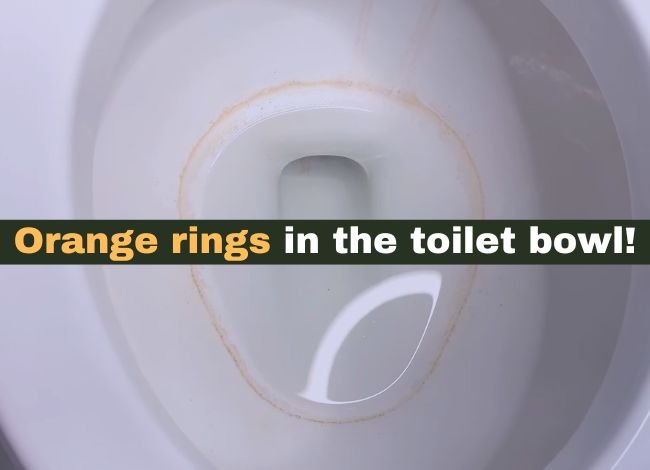 What causes orange rings in the toilet bowl