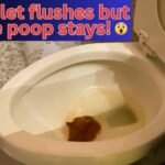 toilet flushes but the poop stays