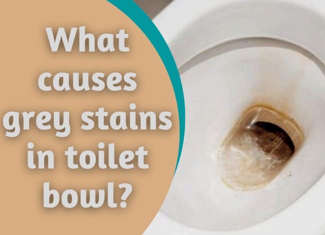 What causes grey stains in toilet bowls and how do you get rid of them