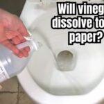 Will vinegar dissolve toilet paper